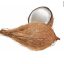 POOJA COCONUT PROASPAT 3BUC IMPORT INDIA