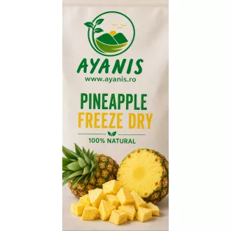 Ananas Liofilizat 1 kg | Gust Exotic Premium Import Vietnam 