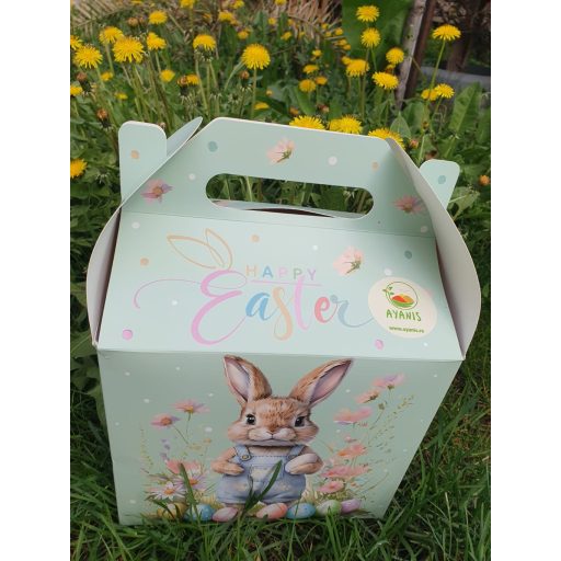 CUTIE CADOU DE PASTE 