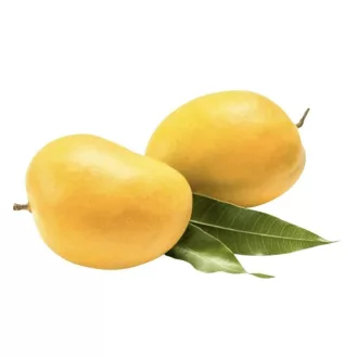 MANGO KESAR IMPORT INDIA BAX 1.5KG 