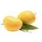MANGO KESAR IMPORT INDIA BAX 1.5KG 