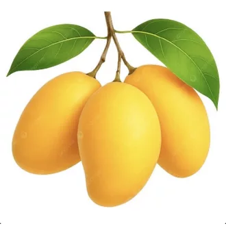 MANGO ALFONSO BAX 1,5KG IMPORT INDIA (7/8 BUC )