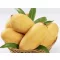 MANGO SHINDHRI IMPORT PAKISTAN cutie 4,5kg brut/ 4kg net  +/-100G (deshidratare) 8/9 BUC