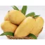 MANGO SHINDHRI IMPORT PAKISTAN cutie 4,5kg brut/ 4kg net  +/-100G (deshidratare) 8/9 BUC
