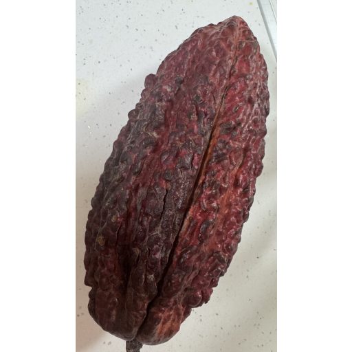 FRUCT DE CACAO 1BUCATA APROX 1KG IMPORT ECUADOR 