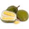 DURIANUL GOLD MUAR IMPORT MALAEZIA GREUTATE 1 BUCATA 1.5-2 KG 