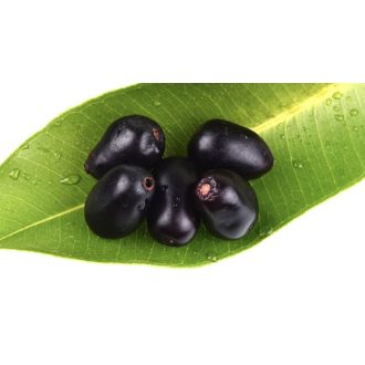 PRUNA JAVA ( JAMUN ) IMPORT PAKISTAN CUTIE 200G