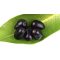 PRUNA JAVA ( JAMUN ) IMPORT PAKISTAN CUTIE 200G