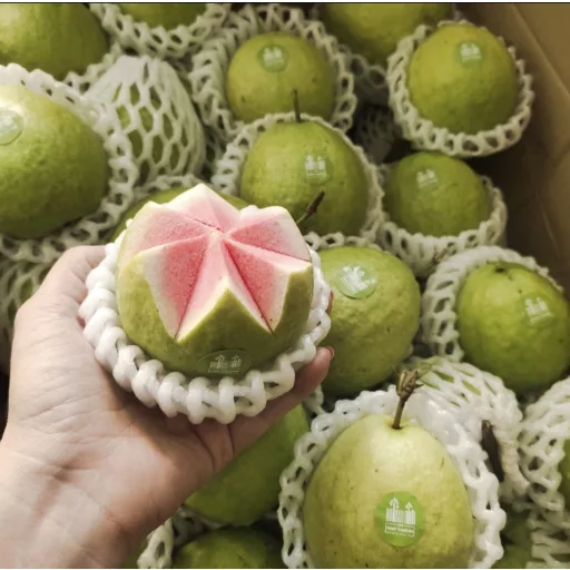 GUAVA ROZ BIO  CUTIE  IMPORT BRAZILIA 1KG 