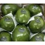 AVOCADO BY AIR 2KG 4-5 BUC  IMPORT BRASILIA 