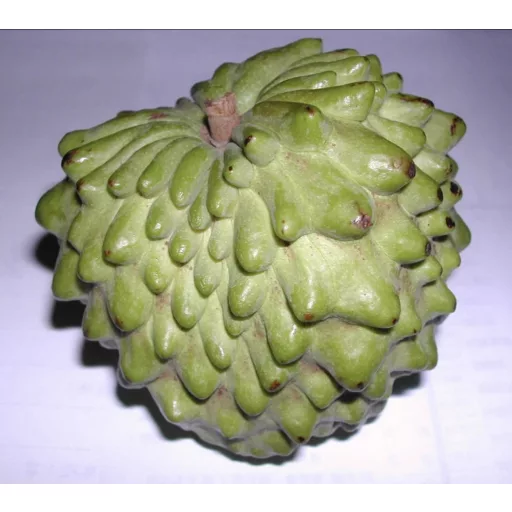 ATEMOYA BIO  IMPORT BRAZILIA CUTIE 1KG 