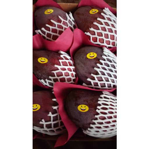 MANGO NAOMI BIO  3.3 kg gross IMPORT EGYPT (GLOBAL GAP CERTIFICAT)