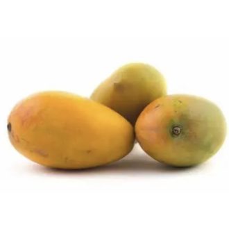 MANGO EWIS BIO 3,3 KG GROSS IMPORT EGYPT