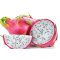 FRUCTUL DRAGONULUI ALB IMPORT THAILANDA 1KG (3 buc)