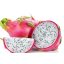 FRUCTUL DRAGONULUI ALB IMPORT THAILANDA 1KG (3 buc)
