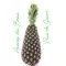 ANANAS PAIN DE SUCRE IMPORT BENIN 2 BUC. 1500-1800G
