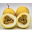 MARACUJA / FRUCTUL PASIUNII GALBEN IMPORT TANZANIA 1KG 