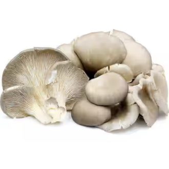 CIUPERCI_OYSTER_CASEROLA_250G_IMPORT_THAILANDA