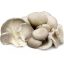 CIUPERCI_OYSTER_CASEROLA_250G_IMPORT_THAILANDA
