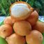 ACHACHAIRU FRUCT (GARCINIA HUMILIS) 1KG IMPORT VIETNAM 