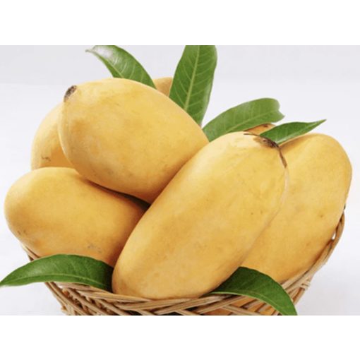 MANGO SHINDHRI IMPORT PAKISTAN cutie 4,5kg brut/ 4kg net  +/-100G (deshidratare)