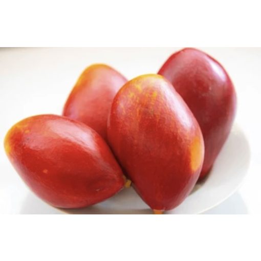 MANGO PALMER (rosu) cutie 4kg net 9buc 