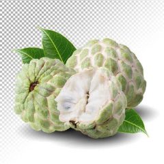   CHERIMOYA/CUSTARD APPLE/MARUL DE ZAHAR IMPORT EGYPT CUTII 4,5KG brut/4kg net (8-12)