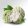 CHERIMOYA/CUSTARD APPLE/MARUL DE ZAHAR IMPORT EGYPT CUTII 4,5KG brut/4kg net (8-12)