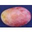 MANGO OSTEEN 4.5KG gross IMPORT SPANIA PRODUS BIO