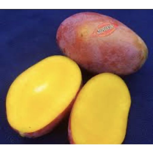 MANGO OSTEEN 4.5KG gross IMPORT SPANIA PRODUS BIO