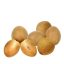 SAPODILLA  IMPORT THAILANDA 500g