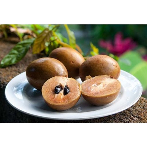SAPODILLA  IMPORT THAILANDA 500g