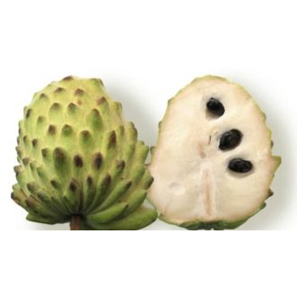 ATEMOYA IMPORT BRAZILIA CUTIE 2.5KG NET  (5-6 buc )
