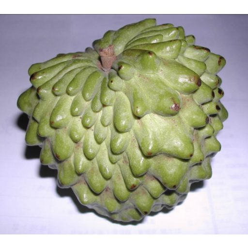 ATEMOYA IMPORT BRAZILIA CUTIE 2.5KG NET  (5-6 buc )