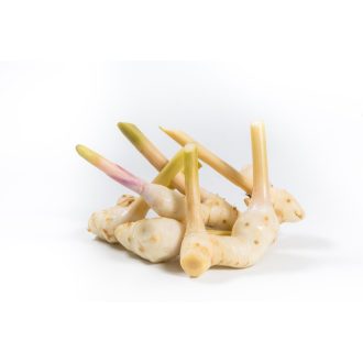 GALANGAL 100G CASEROLA IMPORT THAILANDA